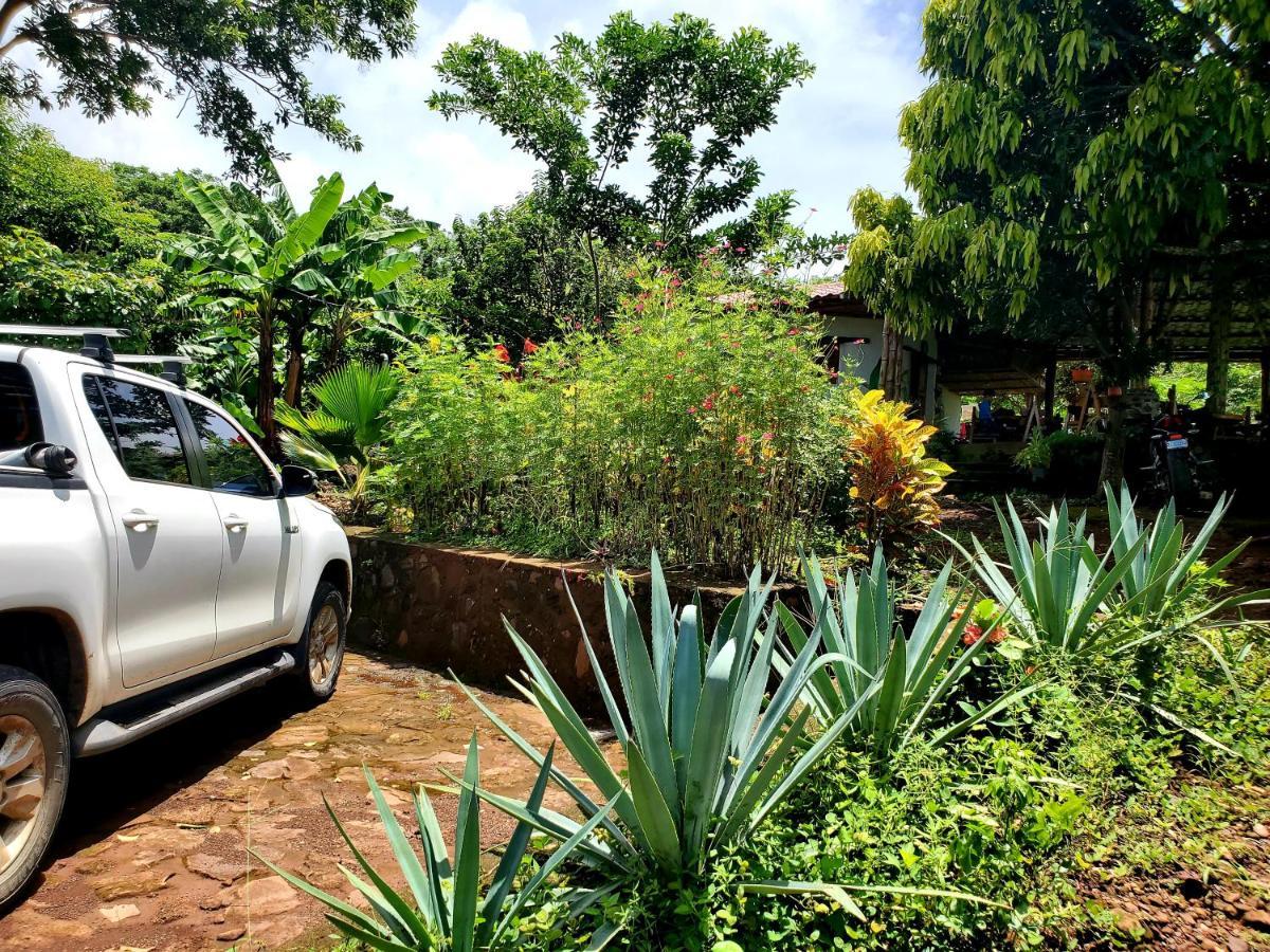 The Jungle Villa Merida ภายนอก รูปภาพ