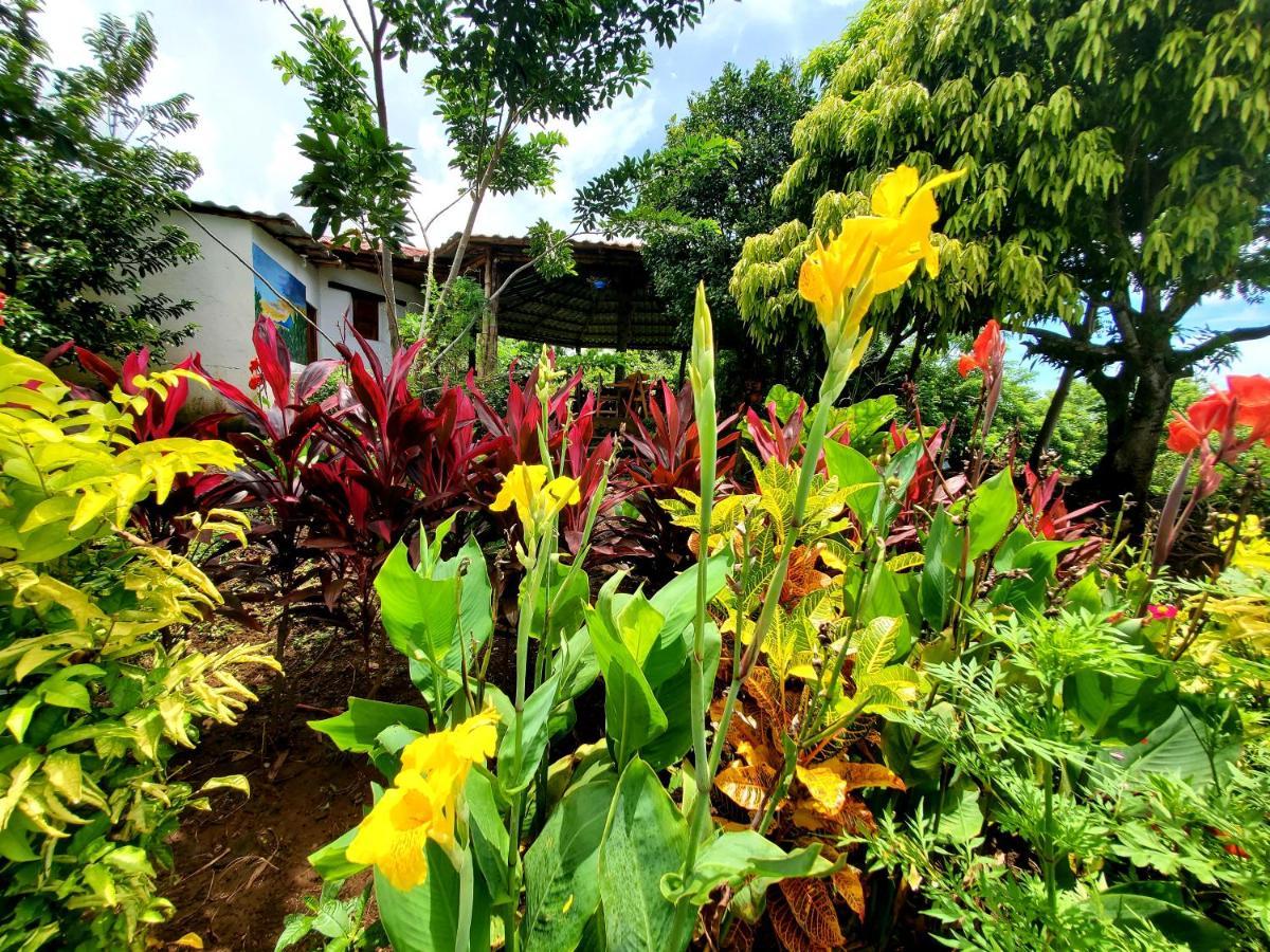 The Jungle Villa Merida ภายนอก รูปภาพ