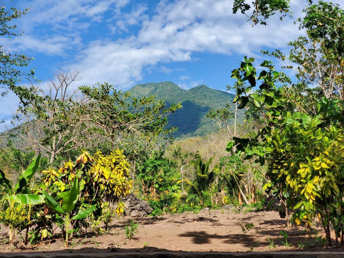 The Jungle Villa Merida ภายนอก รูปภาพ