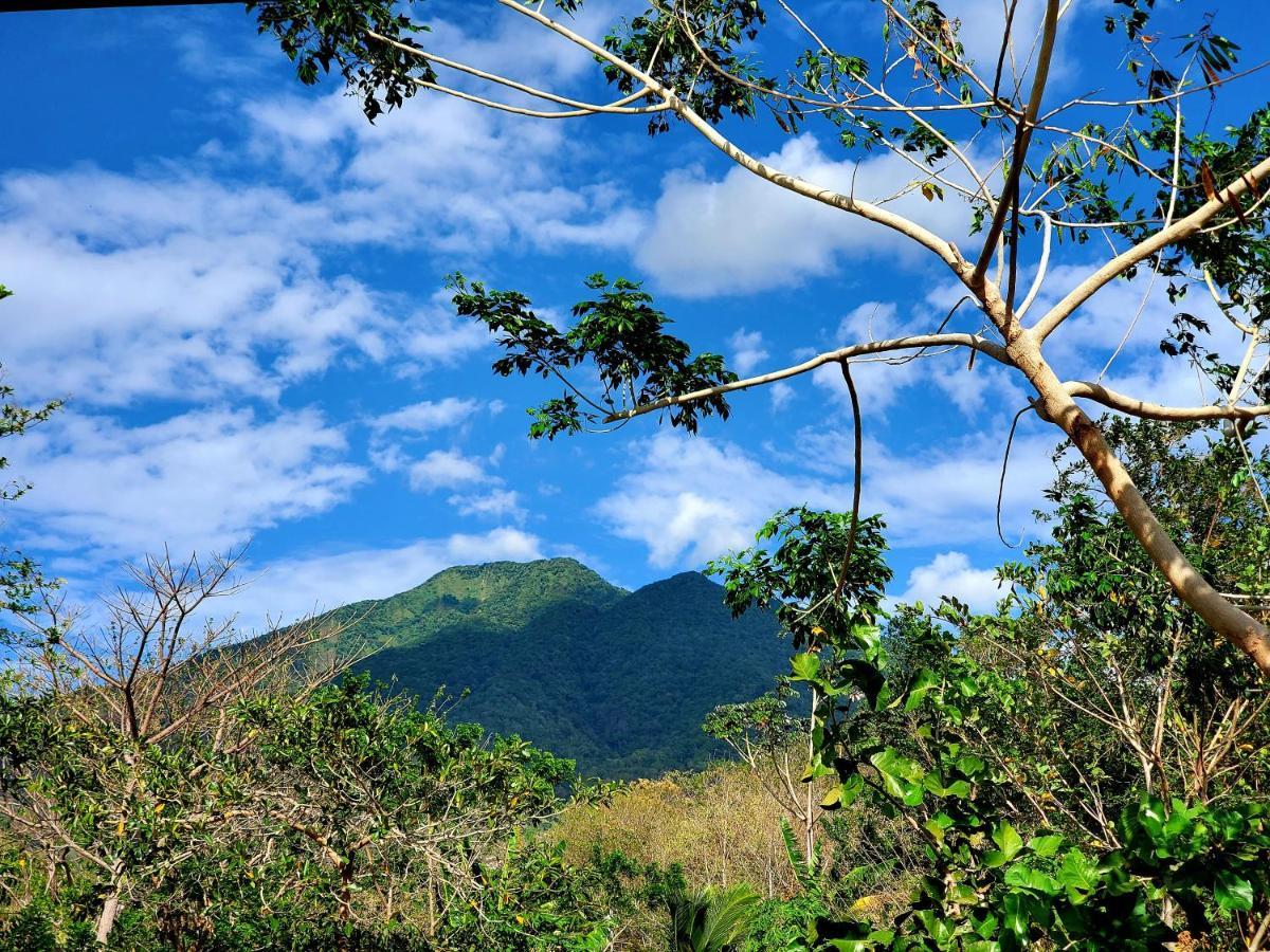 The Jungle Villa Merida ภายนอก รูปภาพ