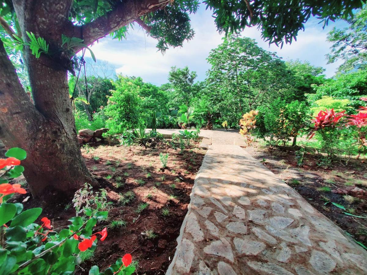 The Jungle Villa Merida ภายนอก รูปภาพ