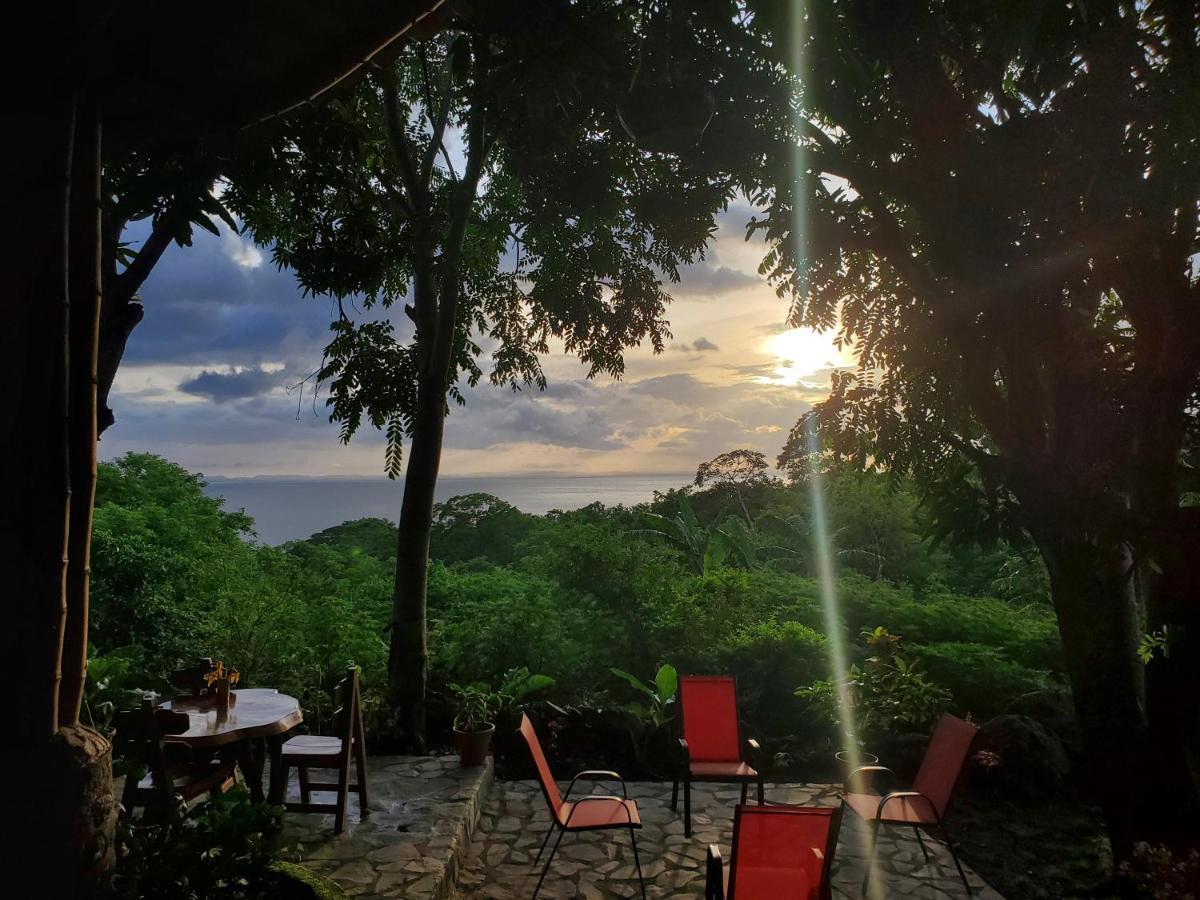 The Jungle Villa Merida ภายนอก รูปภาพ