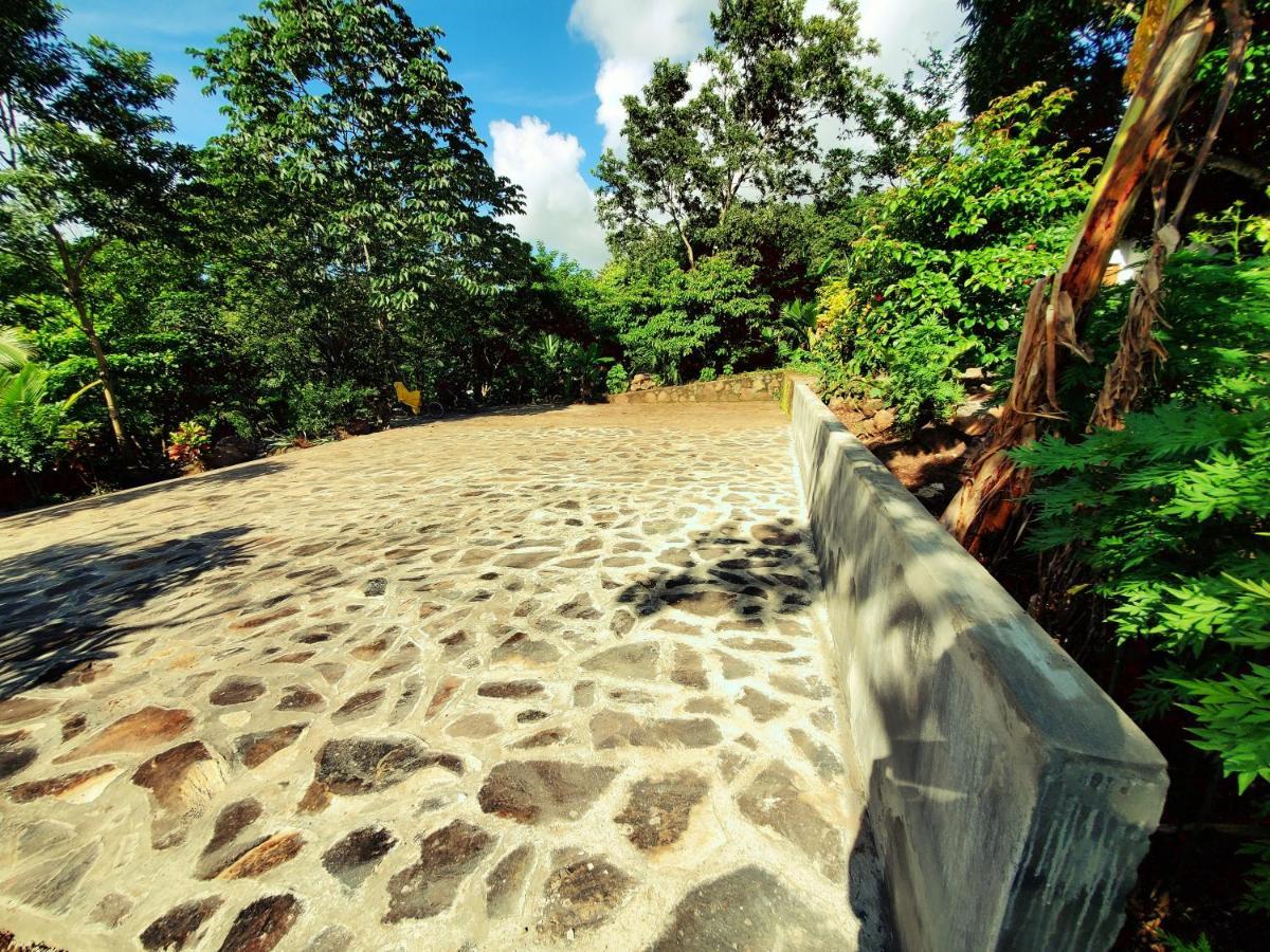 The Jungle Villa Merida ภายนอก รูปภาพ