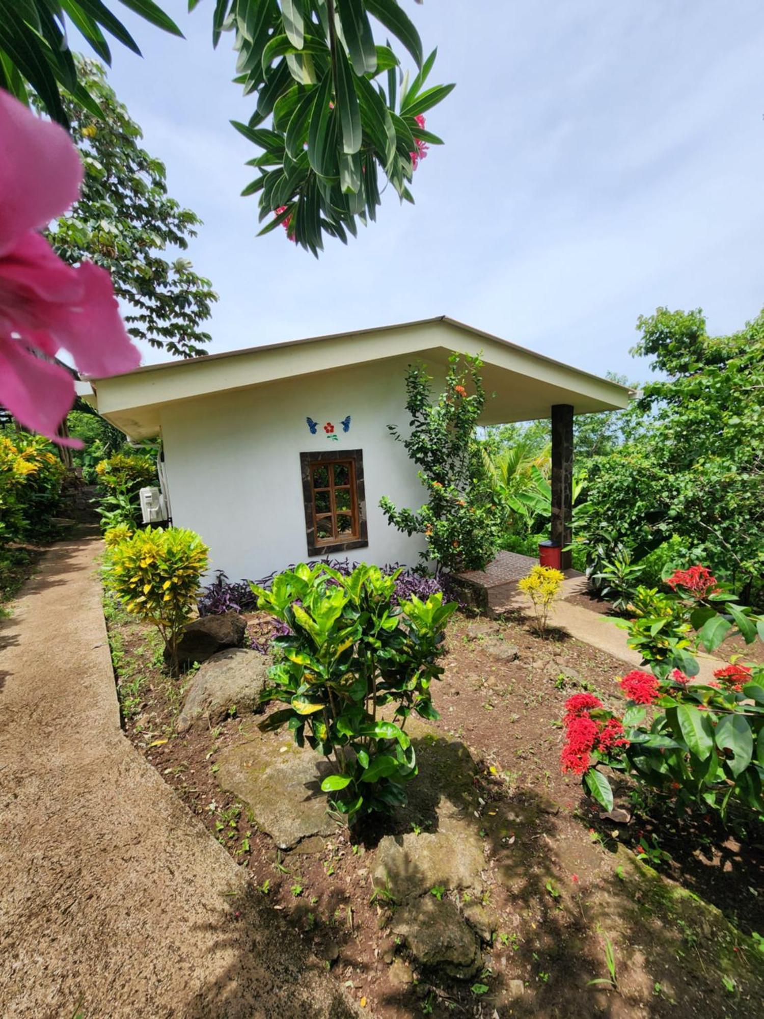 The Jungle Villa Merida ภายนอก รูปภาพ